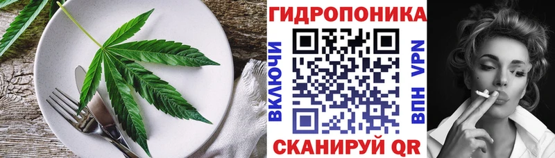 Cannafood конопля  сколько стоит  Малмыж 
