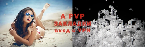 первитин Богданович