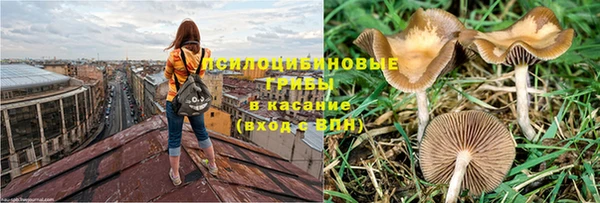 трава Белоозёрский